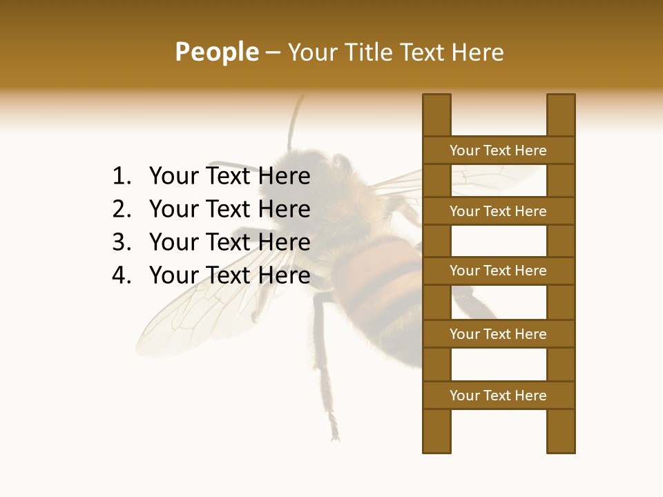 A Bee On A White Background Powerpoint Template PowerPoint Template