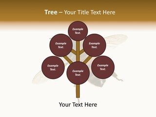 A Bee On A White Background Powerpoint Template PowerPoint Template