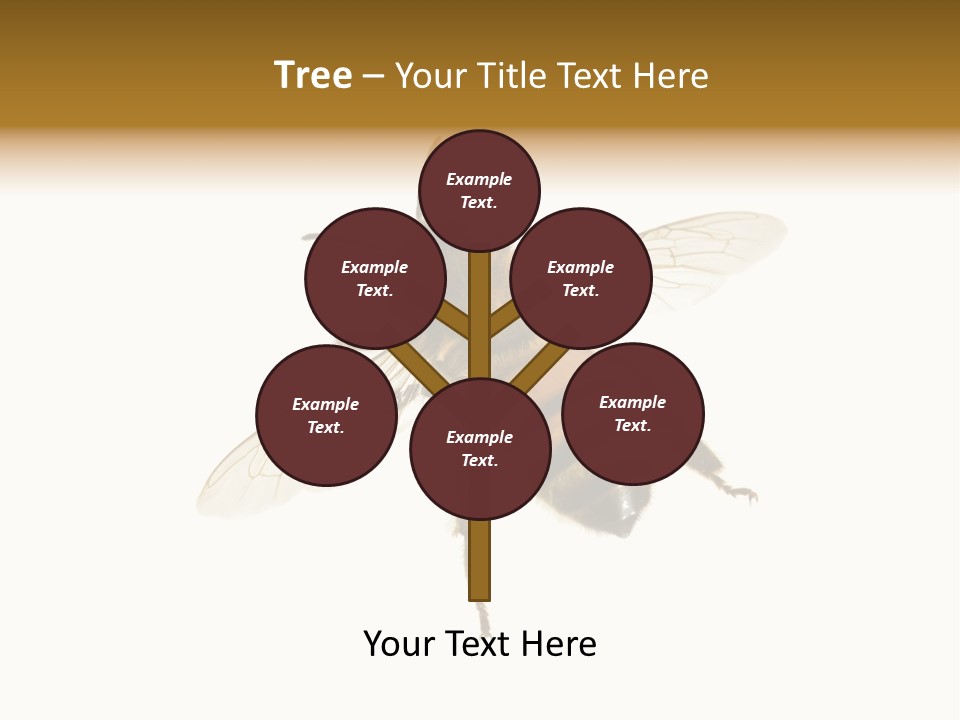 A Bee On A White Background Powerpoint Template PowerPoint Template