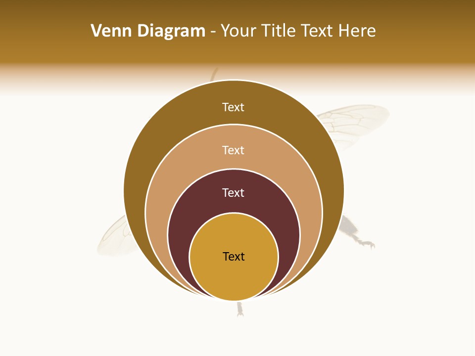 A Bee On A White Background Powerpoint Template PowerPoint Template