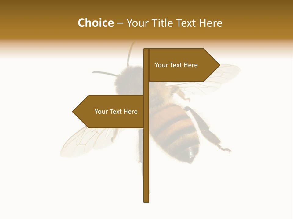 A Bee On A White Background Powerpoint Template PowerPoint Template
