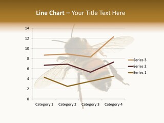 A Bee On A White Background Powerpoint Template PowerPoint Template