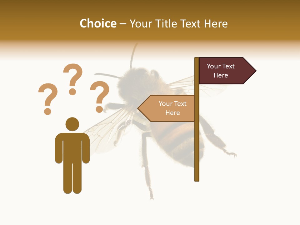 A Bee On A White Background Powerpoint Template PowerPoint Template