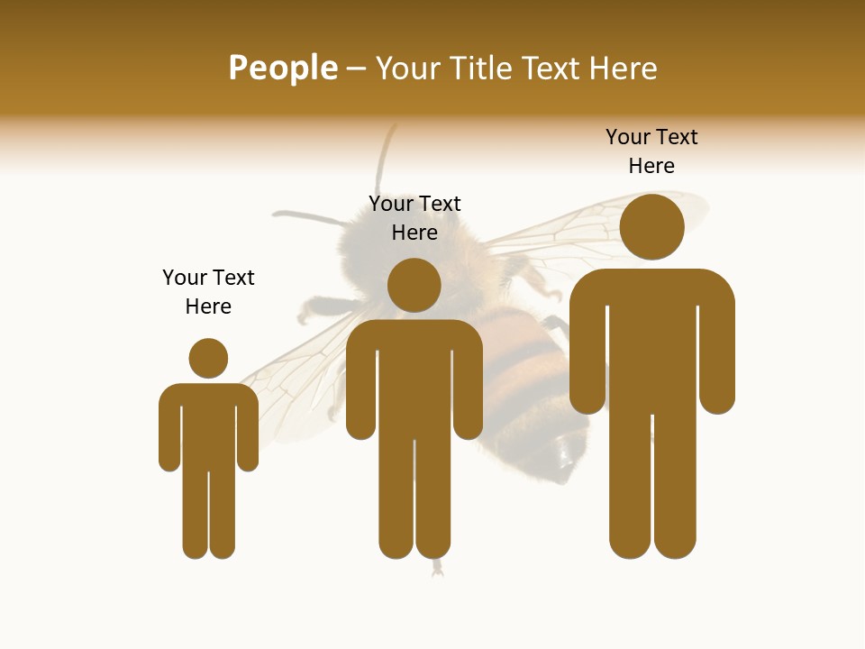 A Bee On A White Background Powerpoint Template PowerPoint Template