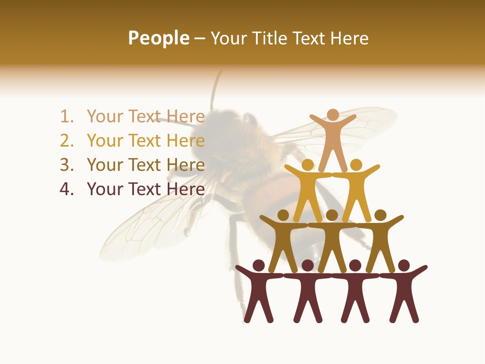 A Bee On A White Background Powerpoint Template PowerPoint Template