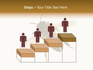 A Bee On A White Background Powerpoint Template PowerPoint Template