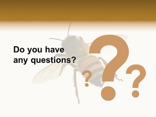 A Bee On A White Background Powerpoint Template PowerPoint Template