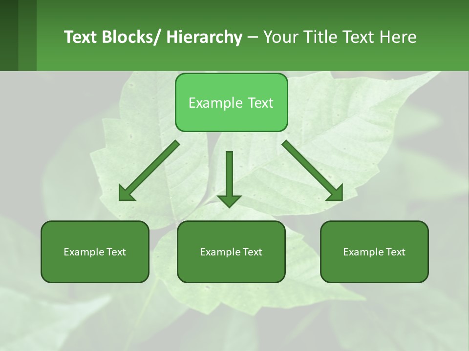 Weeding Three Leaf PowerPoint Template