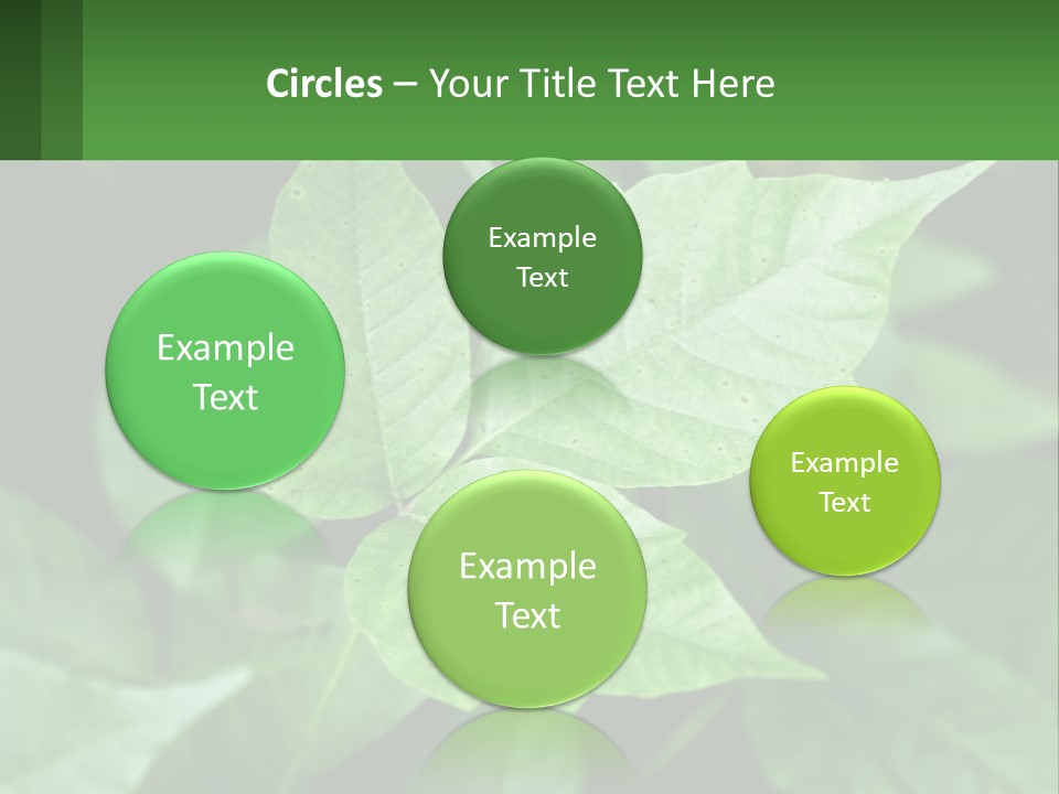 Weeding Three Leaf PowerPoint Template