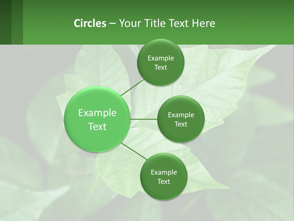 Weeding Three Leaf PowerPoint Template