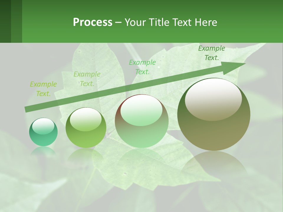 Weeding Three Leaf PowerPoint Template