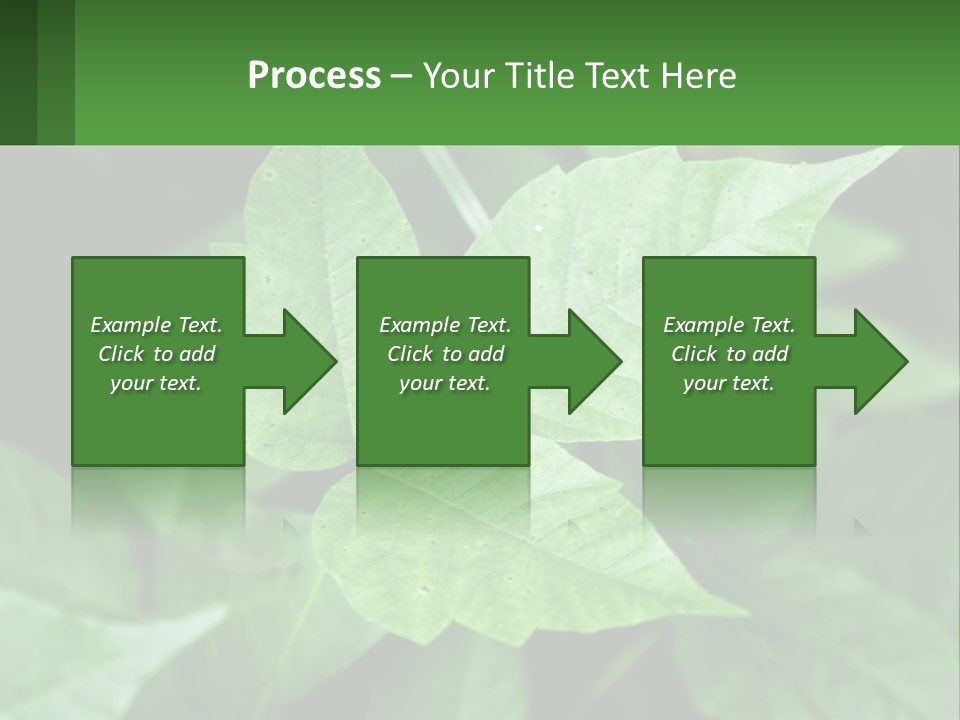 Weeding Three Leaf PowerPoint Template