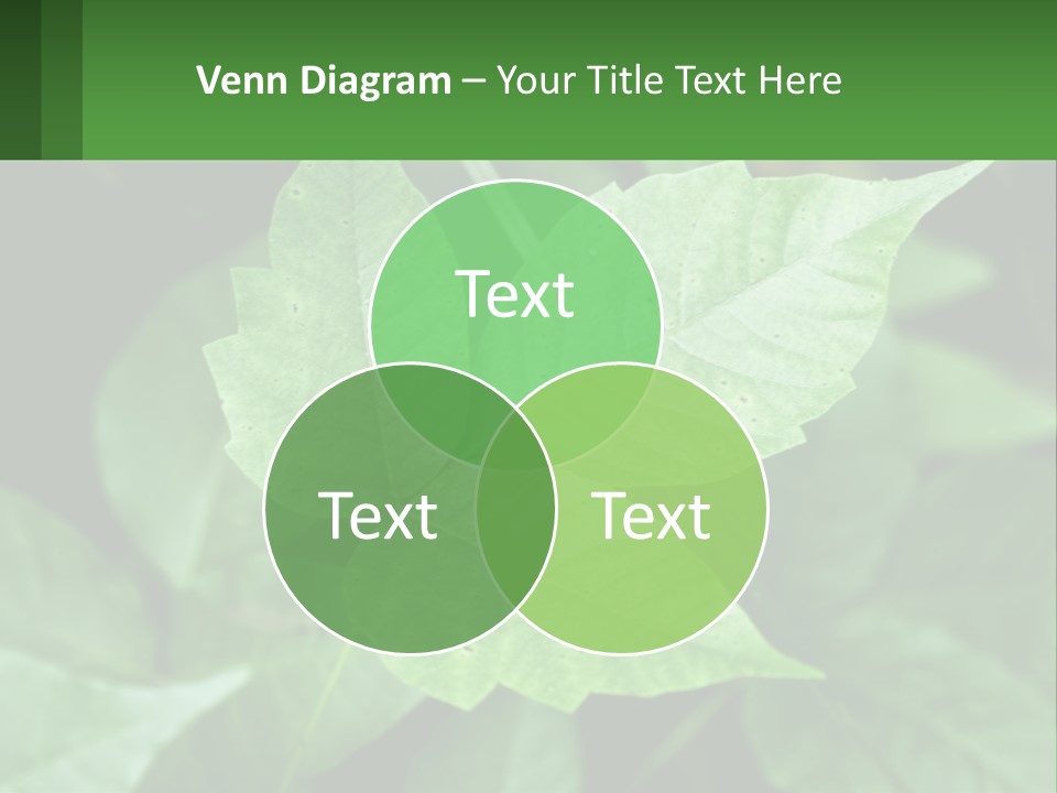 Weeding Three Leaf PowerPoint Template