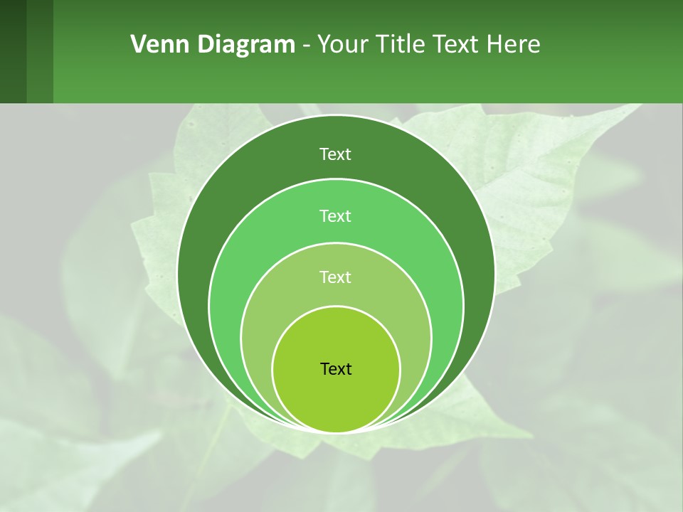 Weeding Three Leaf PowerPoint Template