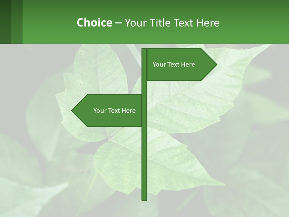 Weeding Three Leaf PowerPoint Template