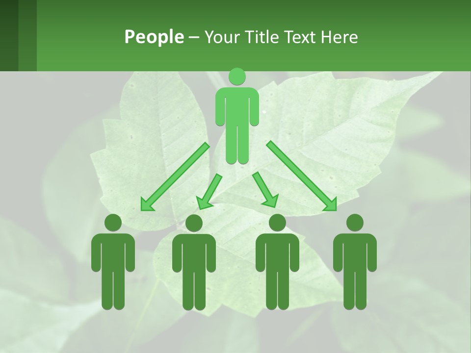 Weeding Three Leaf PowerPoint Template