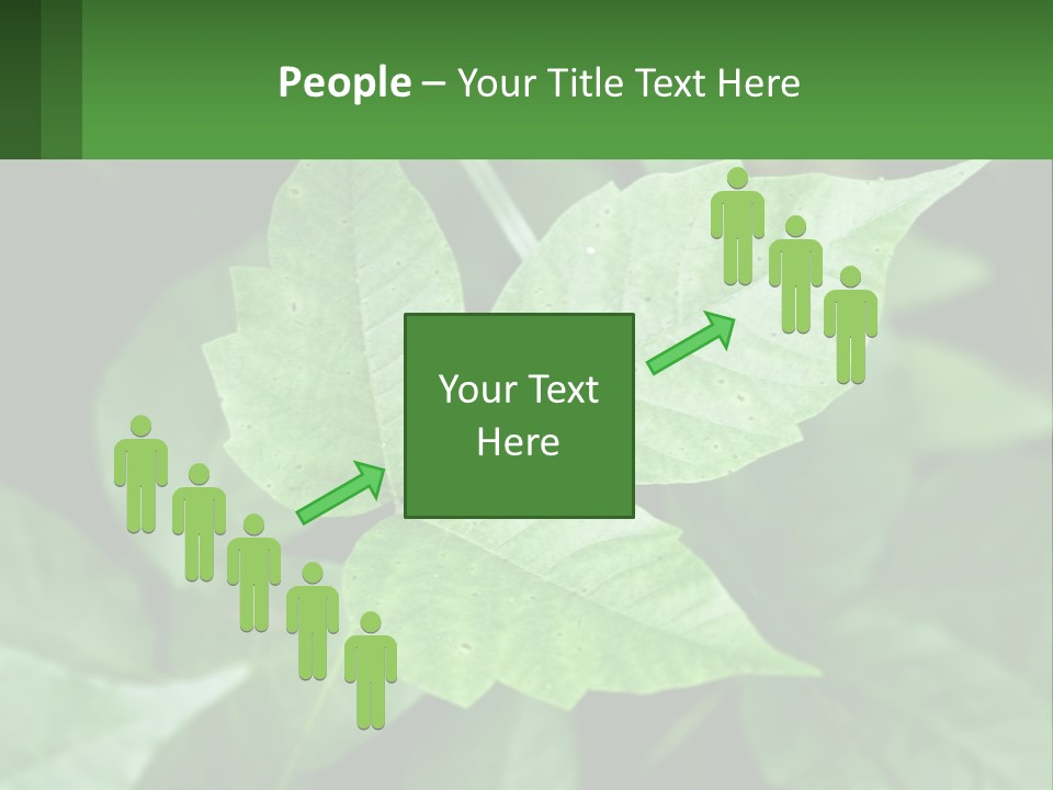 Weeding Three Leaf PowerPoint Template