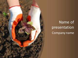 People Gloves Cultivating PowerPoint Template