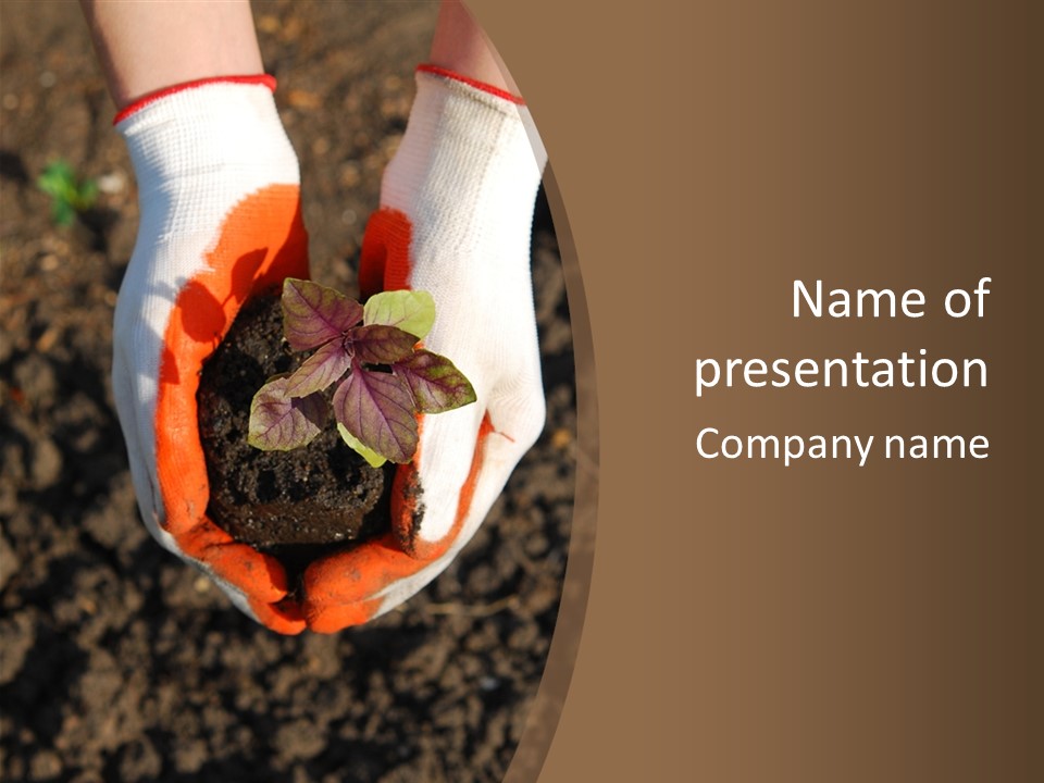 People Gloves Cultivating PowerPoint Template