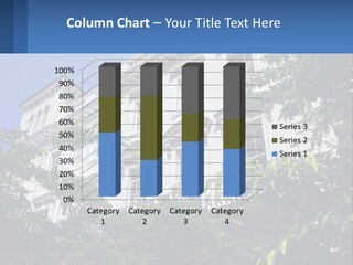 Victorian Street Development PowerPoint Template