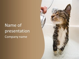 Bathroom Shower Water PowerPoint Template