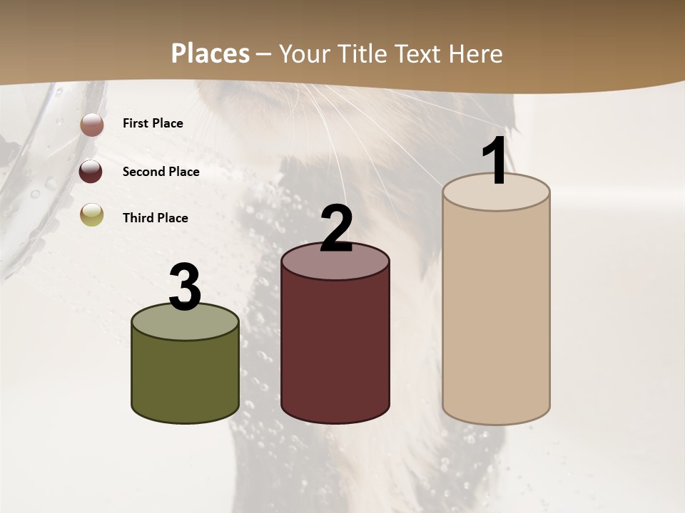 Bathroom Shower Water PowerPoint Template