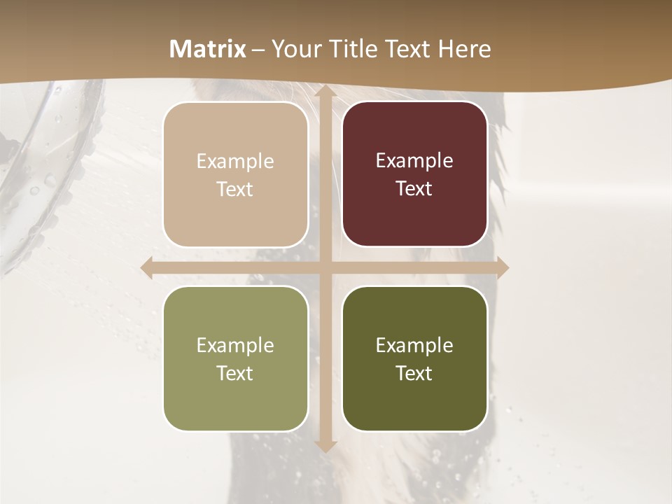 Bathroom Shower Water PowerPoint Template