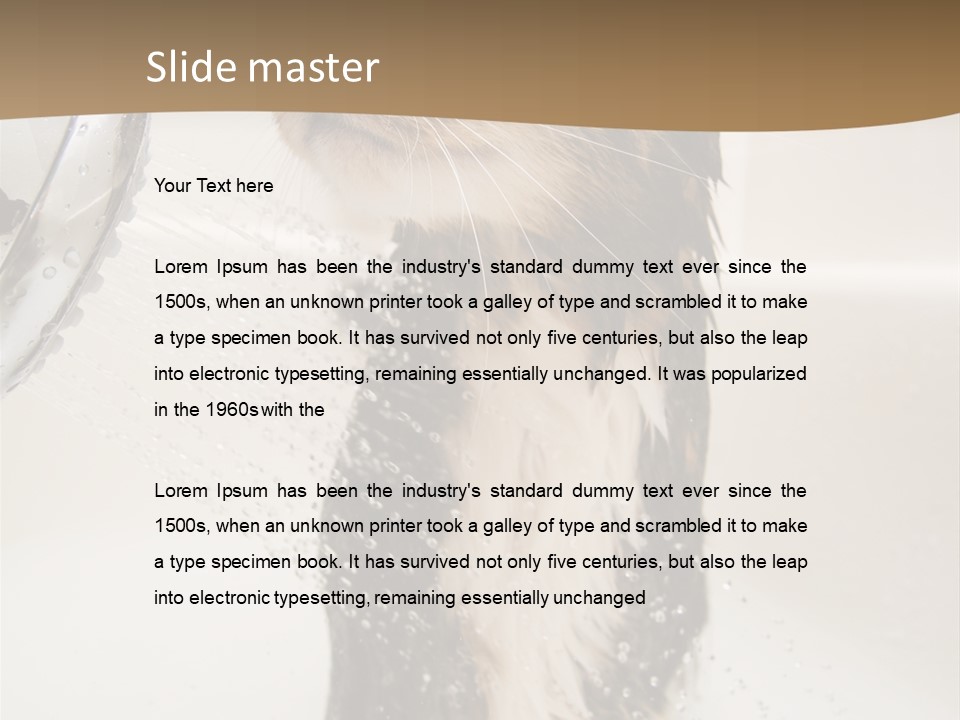 Bathroom Shower Water PowerPoint Template