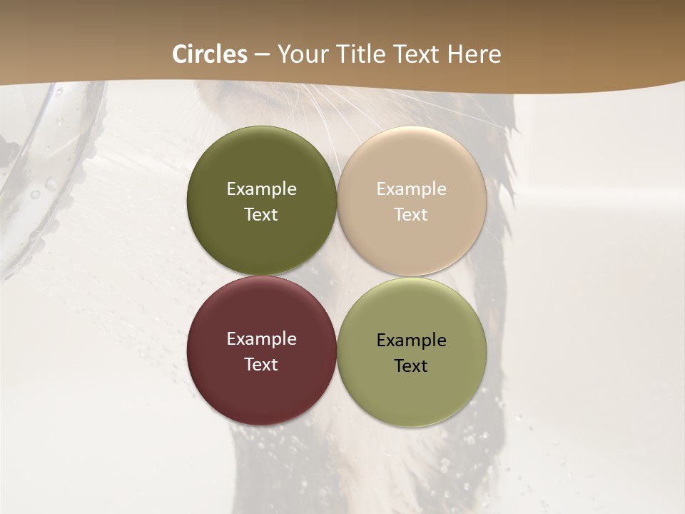 Bathroom Shower Water PowerPoint Template