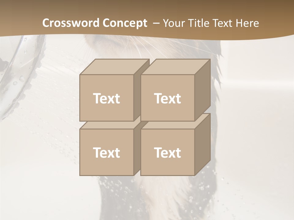 Bathroom Shower Water PowerPoint Template