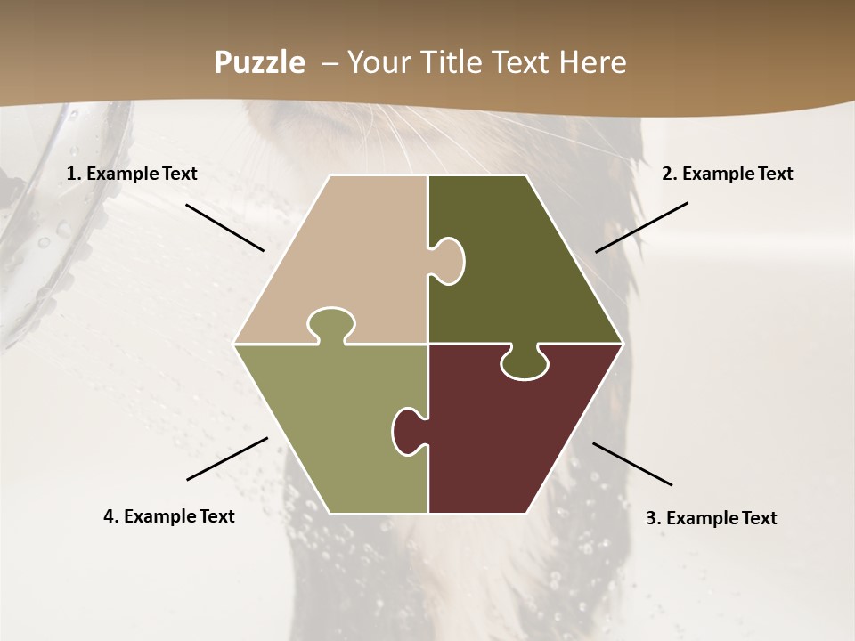 Bathroom Shower Water PowerPoint Template