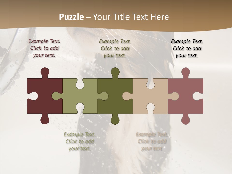 Bathroom Shower Water PowerPoint Template