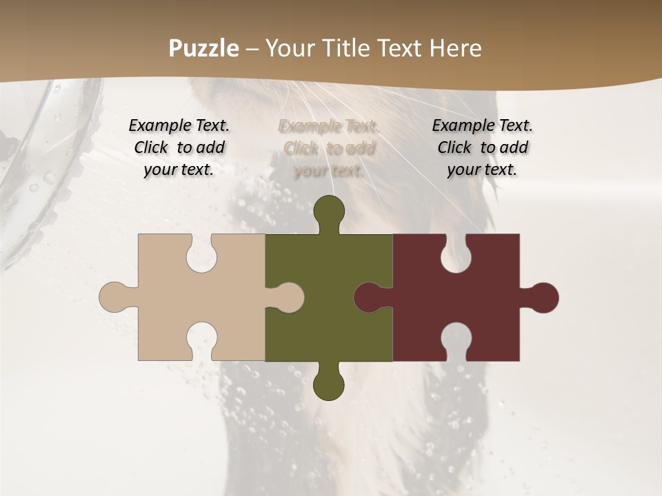 Bathroom Shower Water PowerPoint Template