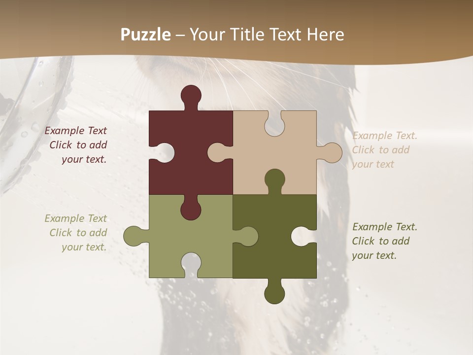 Bathroom Shower Water PowerPoint Template