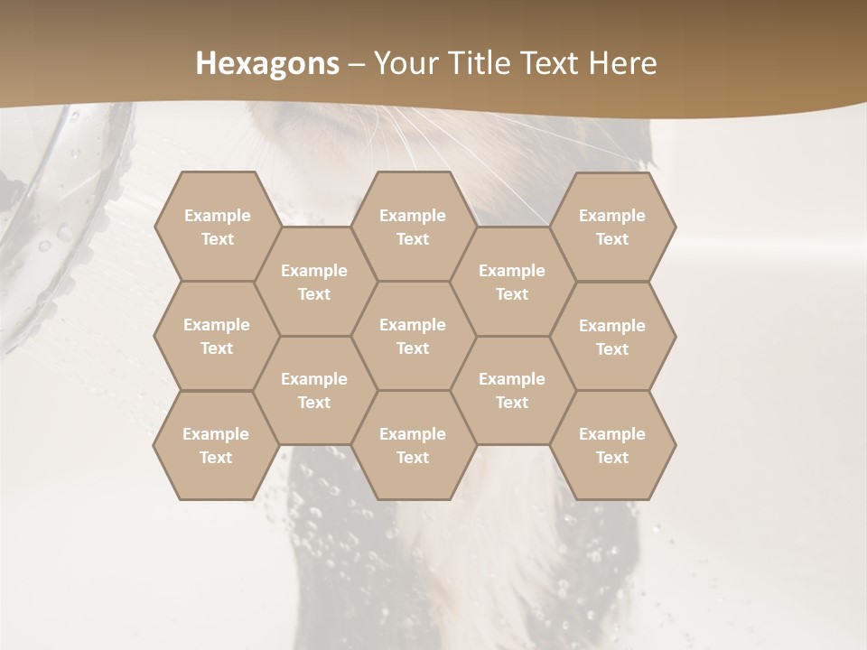 Bathroom Shower Water PowerPoint Template