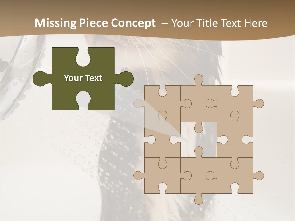 Bathroom Shower Water PowerPoint Template