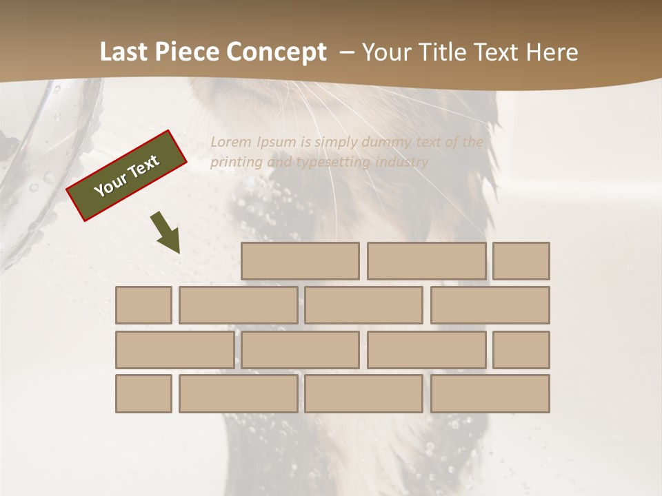 Bathroom Shower Water PowerPoint Template