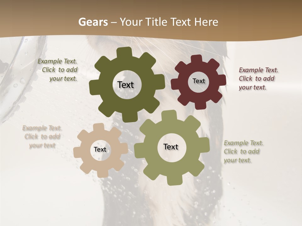 Bathroom Shower Water PowerPoint Template