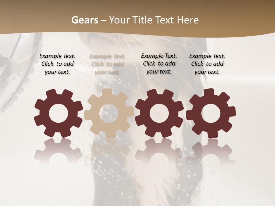 Bathroom Shower Water PowerPoint Template