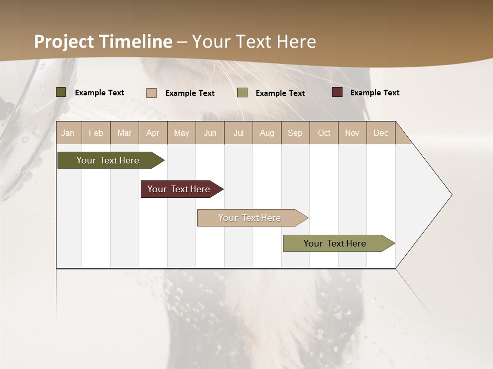 Bathroom Shower Water PowerPoint Template