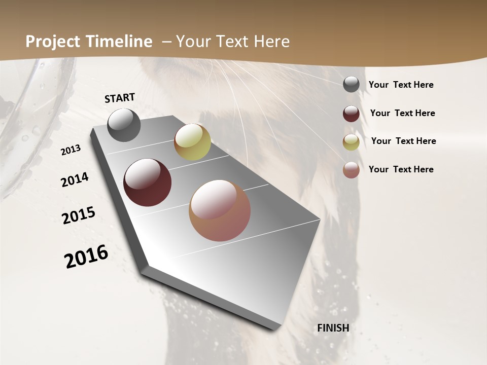Bathroom Shower Water PowerPoint Template