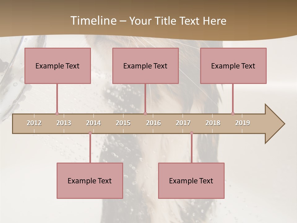 Bathroom Shower Water PowerPoint Template