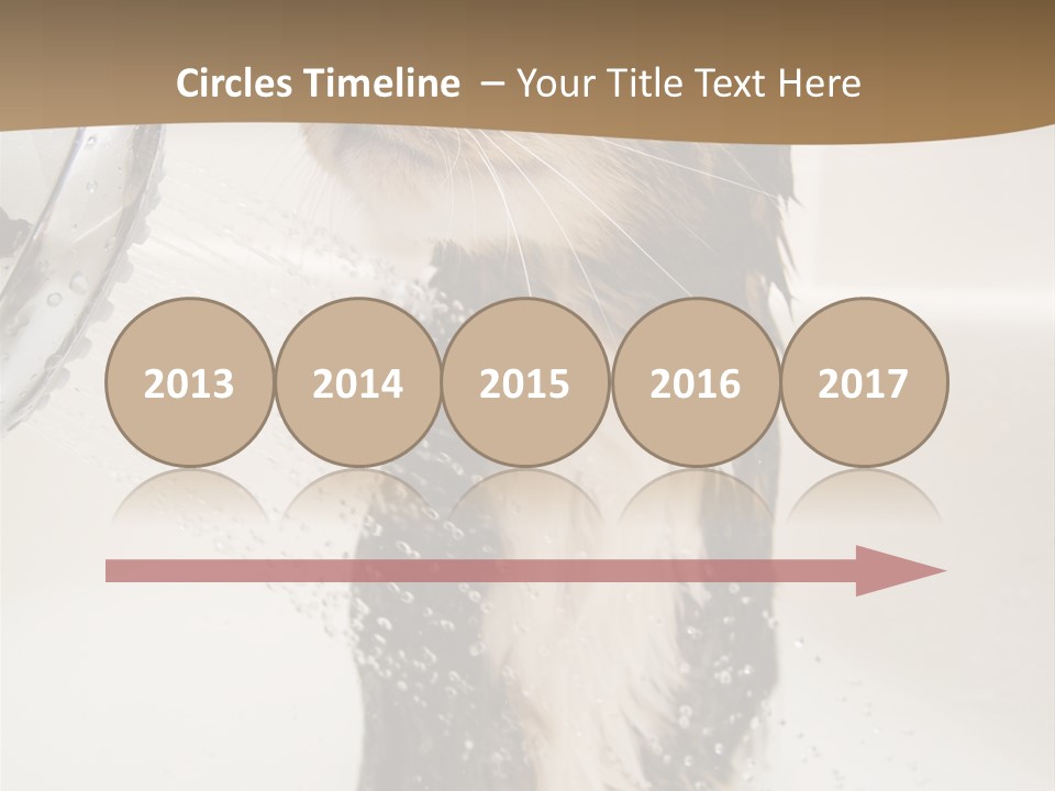 Bathroom Shower Water PowerPoint Template