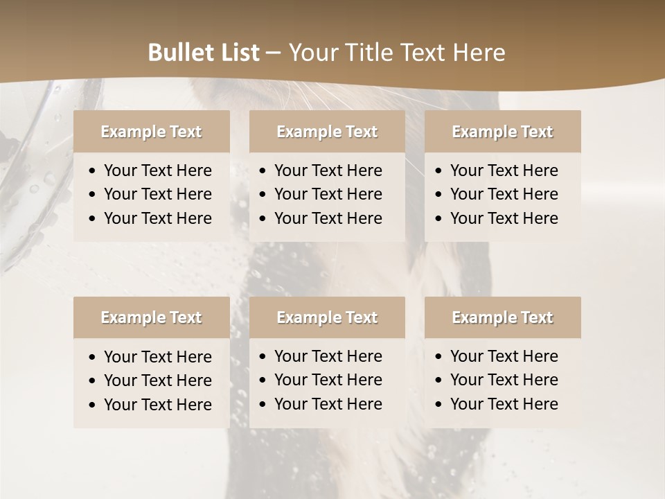 Bathroom Shower Water PowerPoint Template