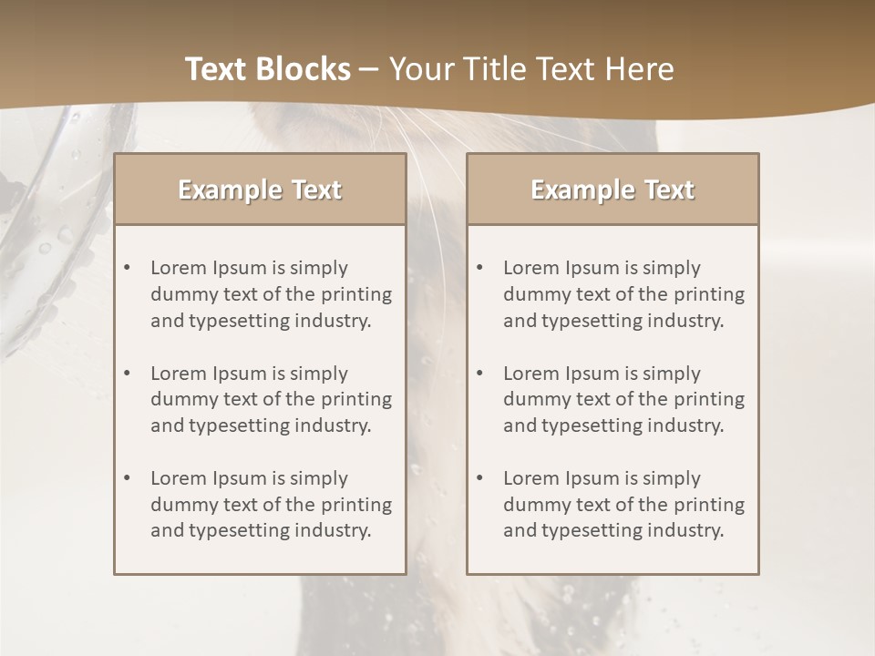 Bathroom Shower Water PowerPoint Template