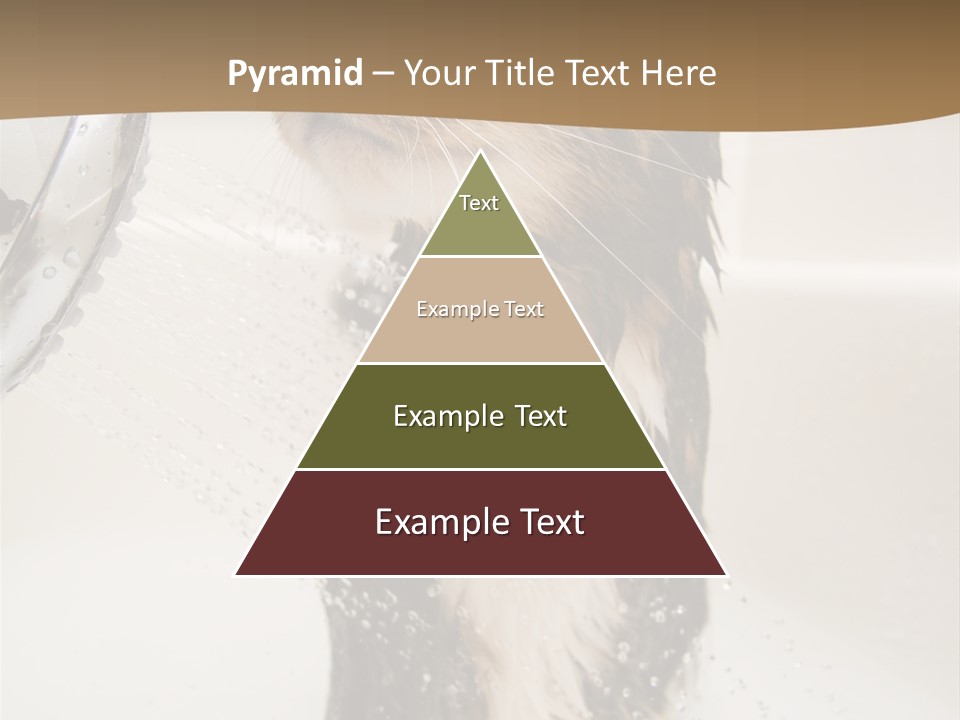 Bathroom Shower Water PowerPoint Template