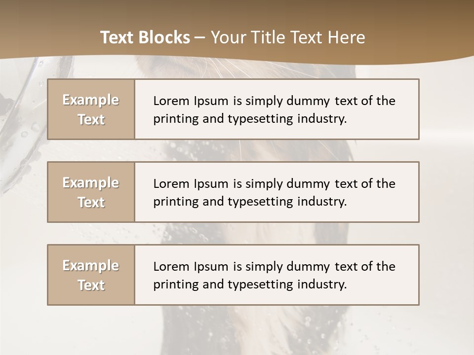 Bathroom Shower Water PowerPoint Template
