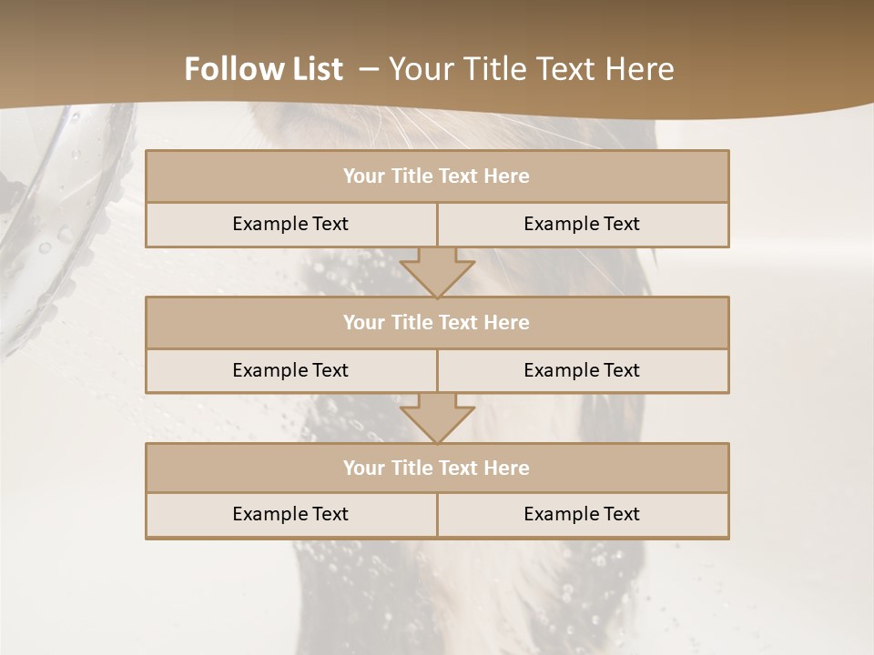 Bathroom Shower Water PowerPoint Template