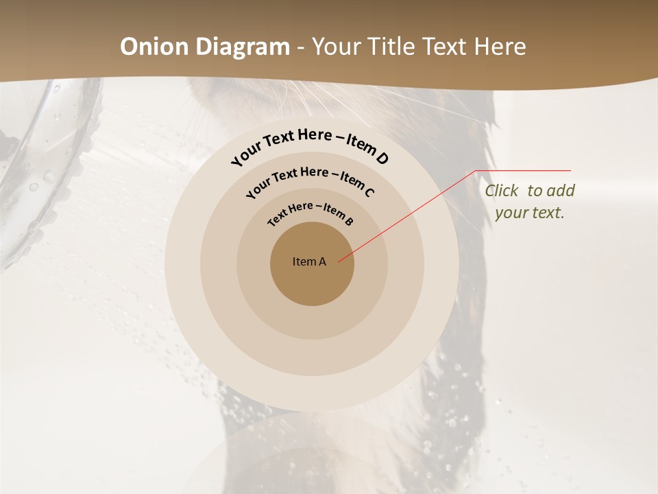 Bathroom Shower Water PowerPoint Template