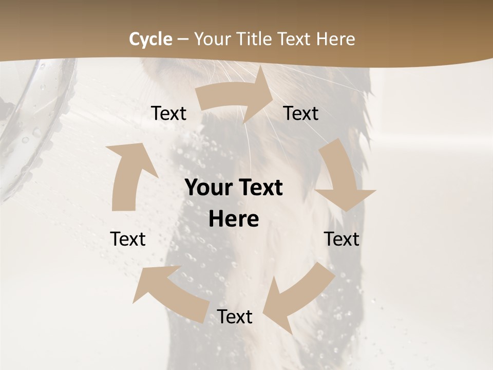Bathroom Shower Water PowerPoint Template